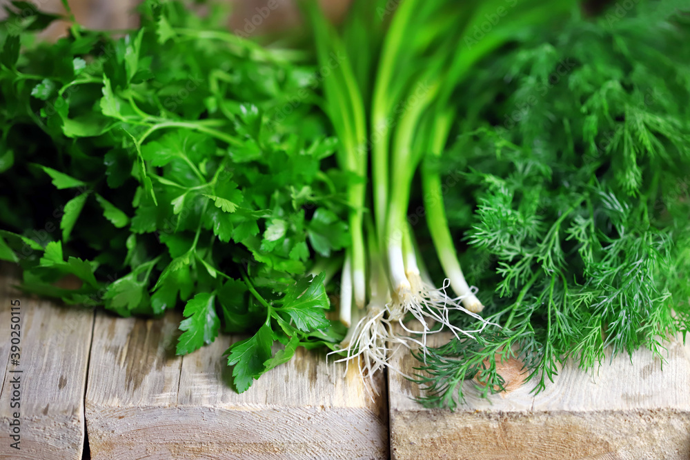 Selective focus. Macro. Fresh greens on a wood surface. Dill, parsley, green onions. Green herbs for preparing healthy meals. Selective focus. Macro. Fresh greens on a wood surface. Dill, parsley, green onions. Green herbs for preparing healthy meals.