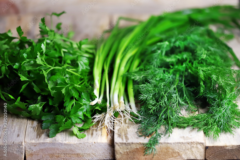 Selective focus. Macro. Fresh greens on a wood surface. Dill, parsley, green onions. Green herbs for preparing healthy meals. Selective focus. Macro. Fresh greens on a wood surface. Dill, parsley, green onions. Green herbs for preparing healthy meals.