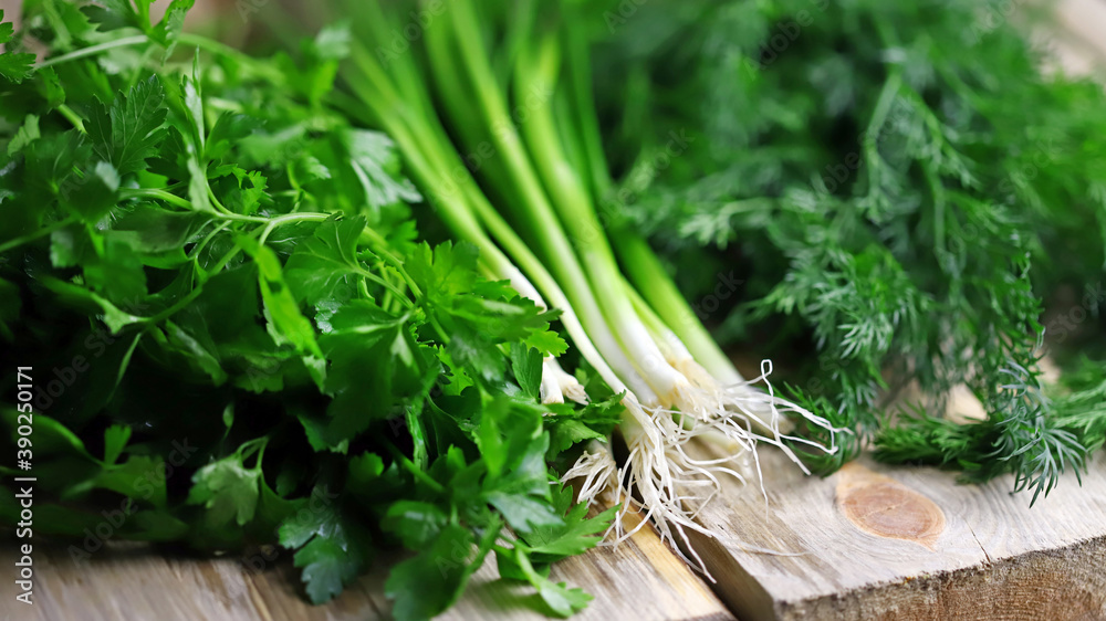 Selective focus. Macro. Fresh greens on a wood surface. Dill, parsley, green onions. Green herbs for preparing healthy meals. Selective focus. Macro. Fresh greens on a wood surface. Dill, parsley, green onions. Green herbs for preparing healthy meals.