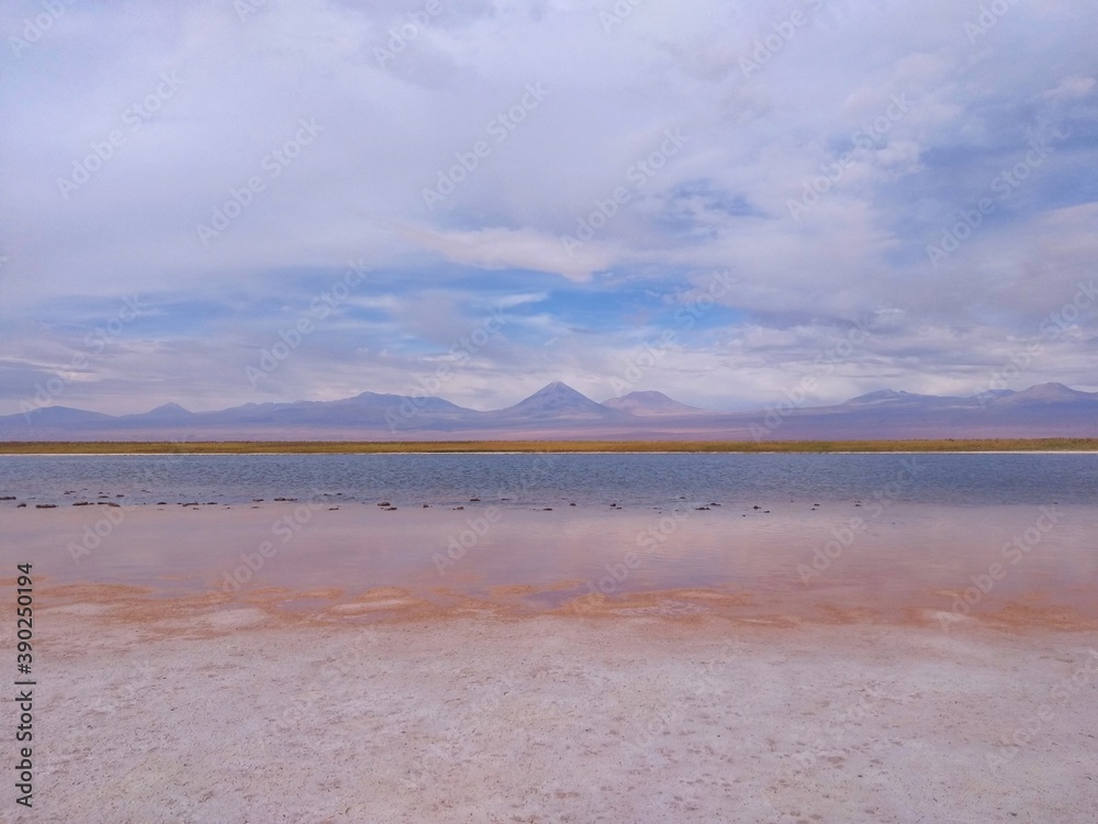Licancabur Volcano - Laguna Cejar (Cejar Lagoon), Atacama Desert, Chile, South America. A blue lake with a higher salt concentration than the Dead Sea, creating a great floating effect. 