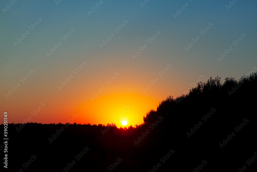 Sunset over the treetops . Sundown scenery with trees