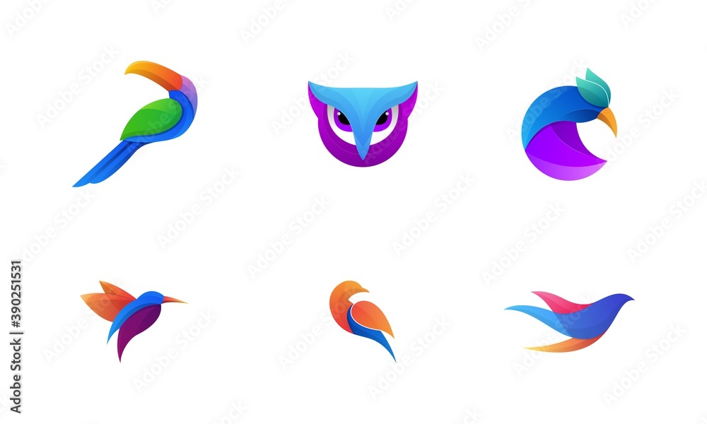 set of logo birds colorfull set of logo birds colorfull
