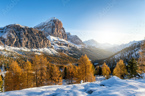 Landscape of early winter with still yellow trees