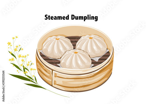 Steamed dumpling bun in bamboo basket with yellow flower decoration on white background. Close up realistic hand drawing vector illustration.