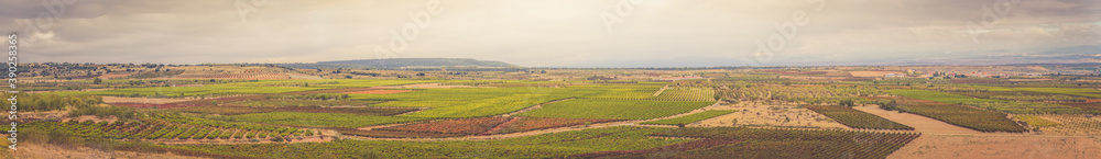 Panoramic view of vineyards in autumn, variety of colors ocher, red, orange, brown, green giving life to the beautiful landscapes of La Rioja Spain