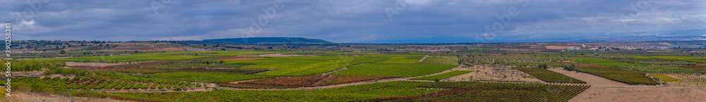 Panoramic view of vineyards in autumn, variety of colors ocher, red, orange, brown, green giving life to the beautiful landscapes of La Rioja Spain