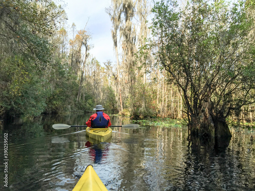 kayaking in Okefenokee swamp in southern Georgia, USA.