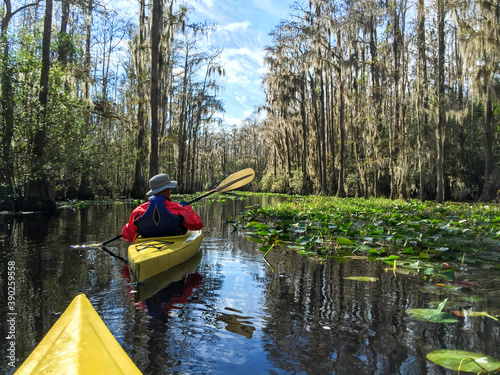 Foto kayaking with alligators in the Deep South in Georgia's Okefenokee National Wildlife Refuge