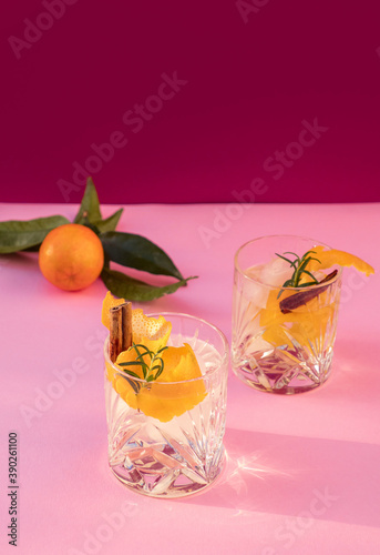 Two Gin and Tonic Drinks with Cinnamon and Tangerine