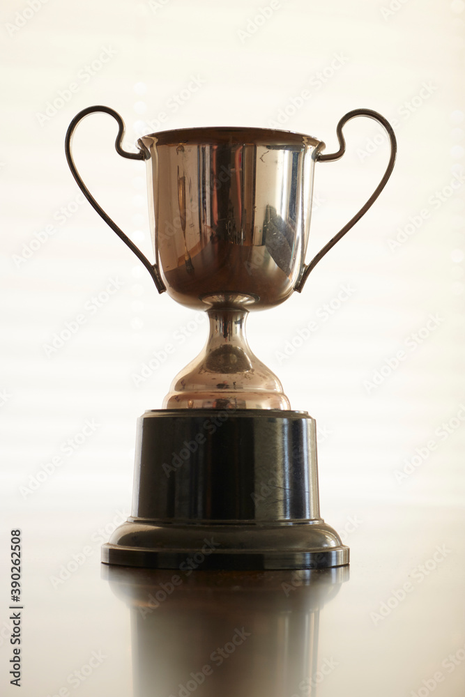 Trophy Cup Trophy Cup