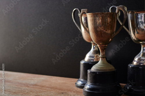 Trophy Cup