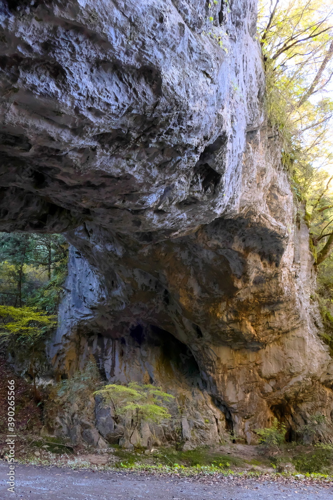 Obraz premium 広島県帝釈峡 紅葉の雄橋