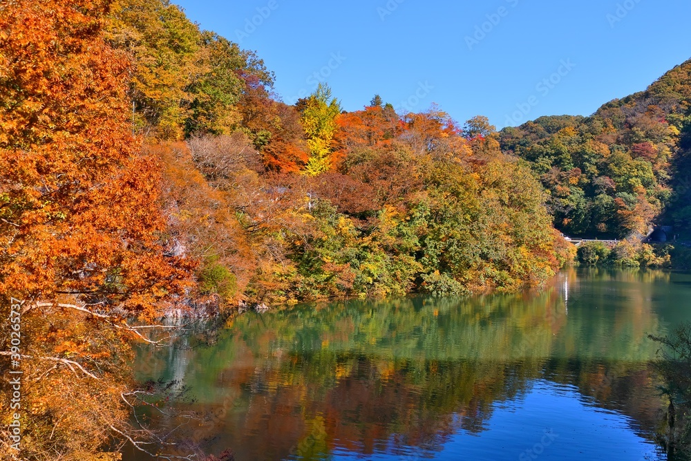 広島県帝釈峡　神竜湖の紅葉
