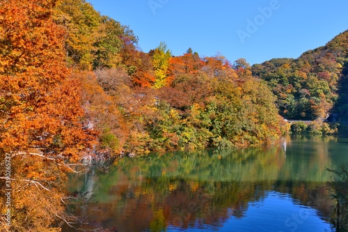 広島県帝釈峡 神竜湖の紅葉 