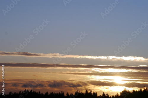 夕焼け度綺麗な雲 photo