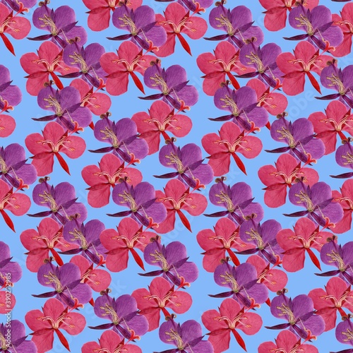 Willowherb  epilobium. Illustration  texture of flowers. Seamless pattern for continuous replication. Floral background  photo collage for textile  cotton fabric. For use in wallpaper  covers