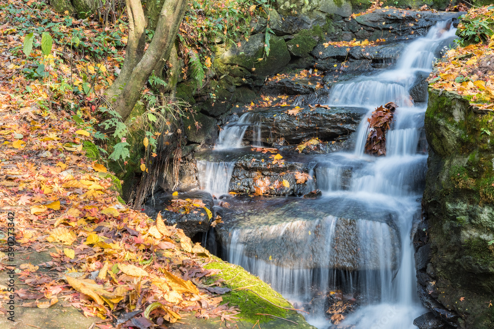 stream and fallen leaves in autumn