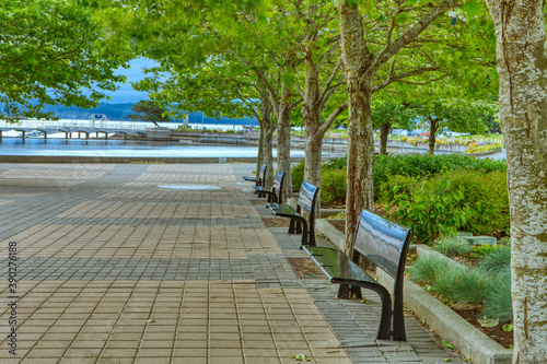 Park benchin at sutton park, nanaimo, vancouver island, british colombia, canada.