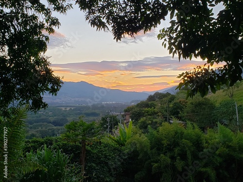 Atardecer entre bosques 