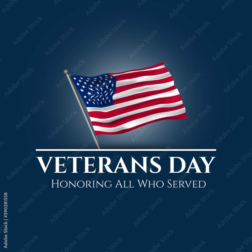 © Be Pro - Vector illustration of Veterans Day.
