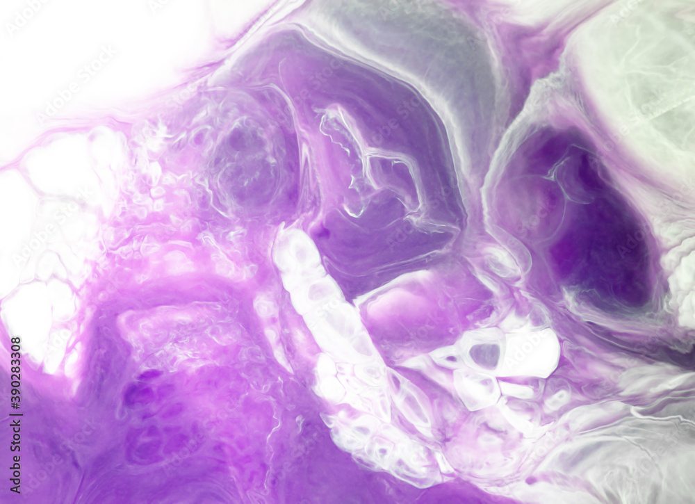white purple background marble wall texture white purple background marble wall texture