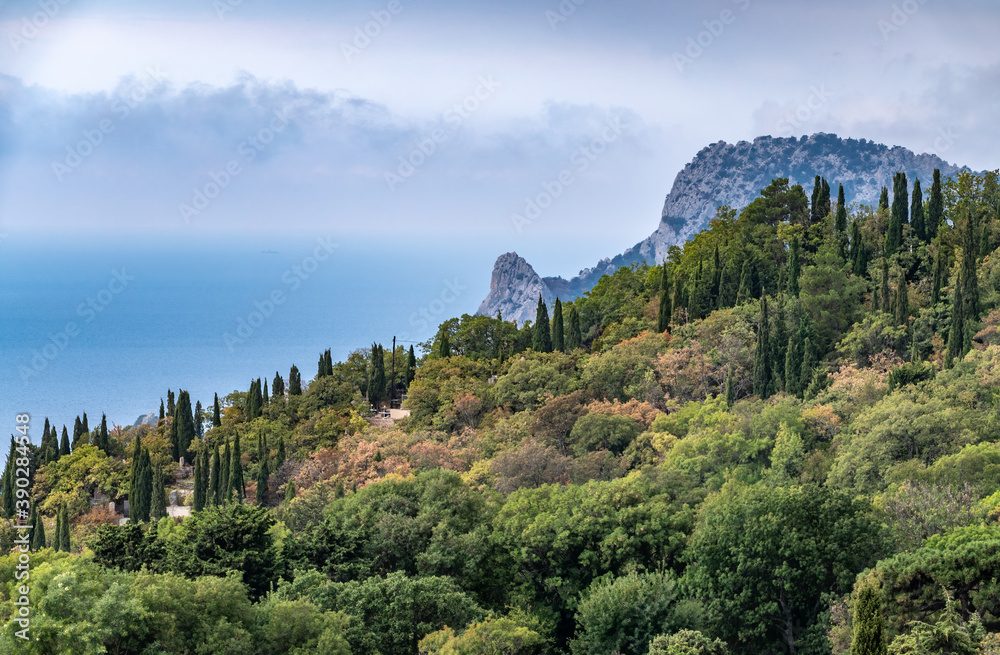 Rocky mountain on sea shore with high green trees on slope