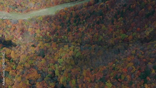 Aerial View Of Autumnal Trees In The Forest During Fall In Zao Onsen, Yamagata City, Japan - top-down shot photo