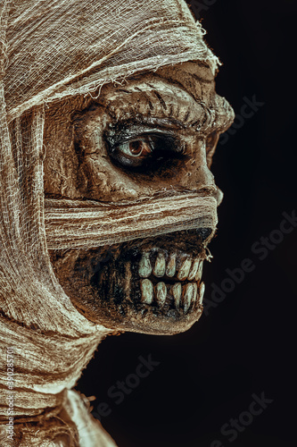 sideview of a mummy