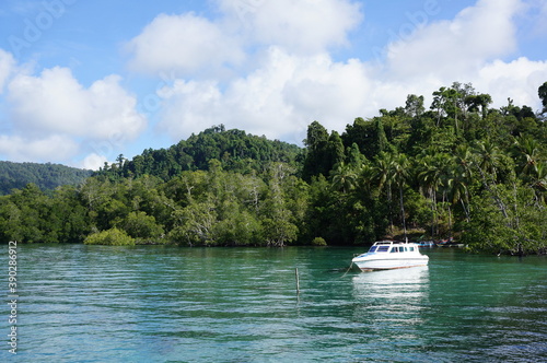 boats on the lake