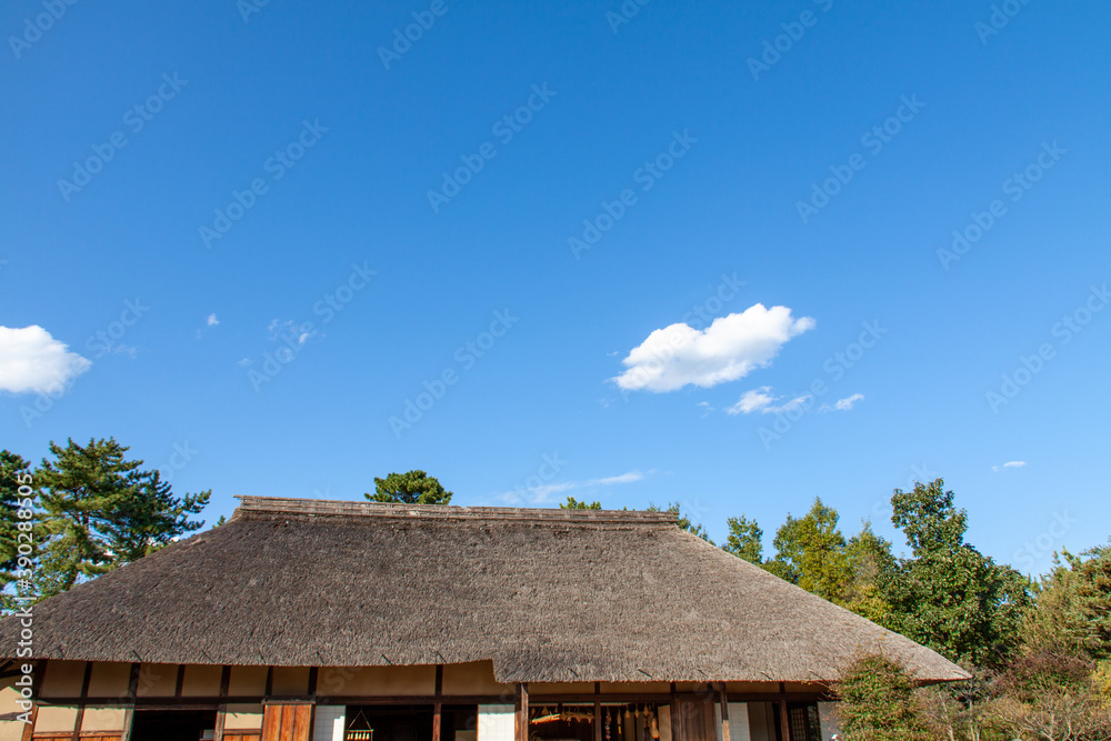 Japanese Thatched Roof House against the Blue Sky