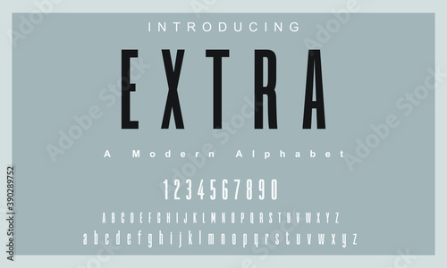 Extra font Elegant alphabet letters font and number. Classic Lettering Minimal Fashion Designs. Typography modern serif fonts regular uppercase lowercase and numbers. vector illustration