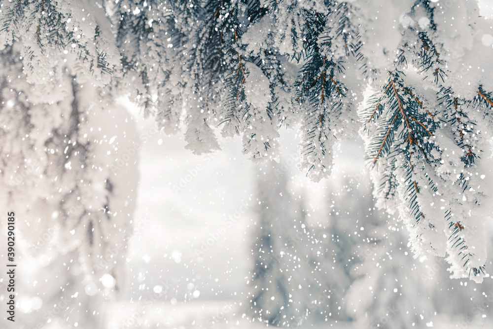 Christmas background with fir branches covered with snow, winter holiday. Beautiful snowy spruce trees in frozen mountains landscape in blurred background. Happy New Year card Christmas background with fir branches covered with snow, winter holiday. Beautiful snowy spruce trees in frozen mountains landscape in blurred background. Happy New Year card