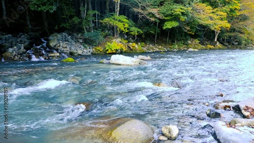 山梨県道志村の清流