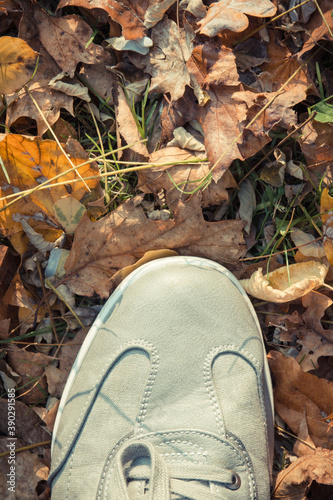 Comfortable gray leather shoes on grass with autumnal leaves. Male footwear. Copy space for text
