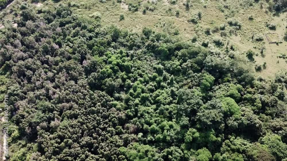 Aerial of forest and farm land in Benin Africa