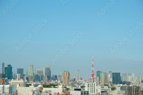 東京のビル群と東京タワー  © Daily Photo