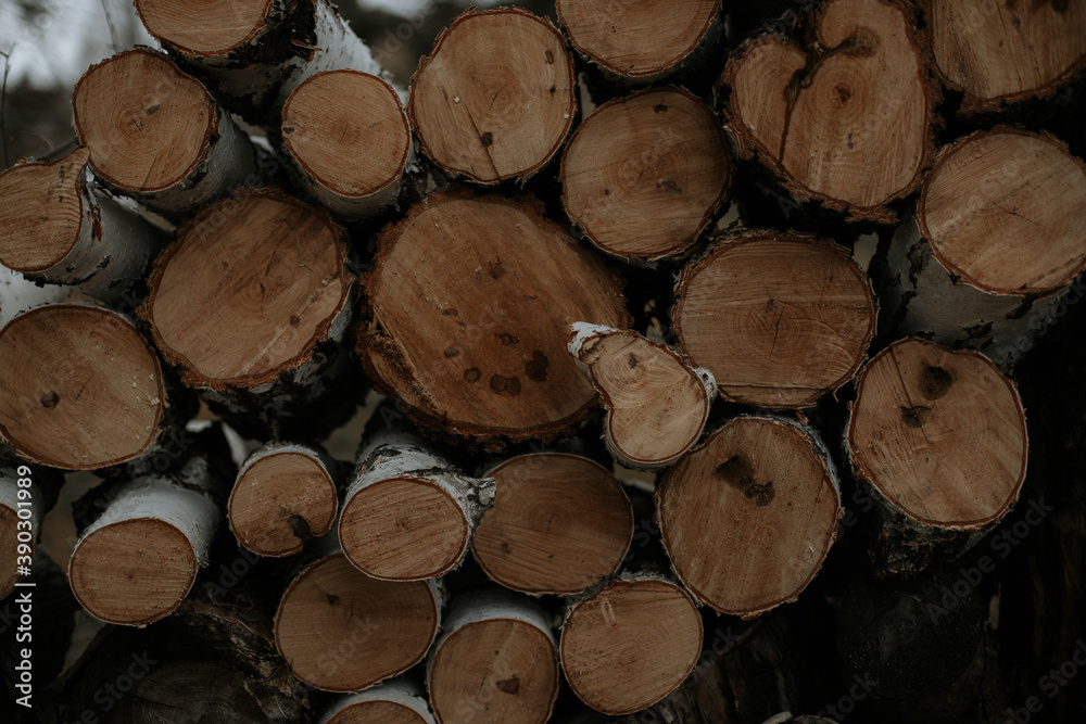 Fototapeta premium Folded firewood.