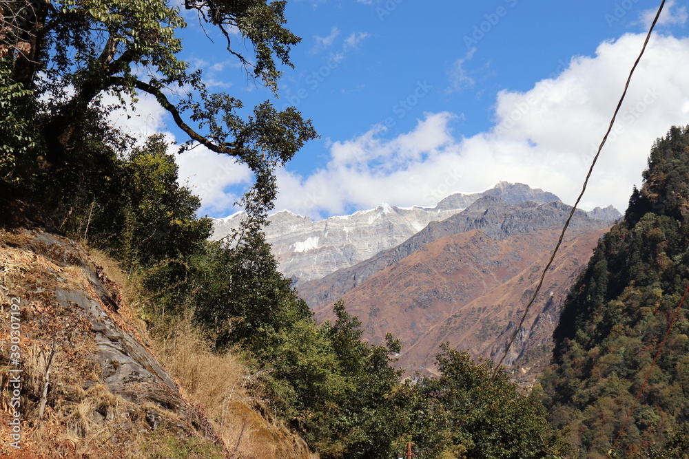 Obraz premium park state country