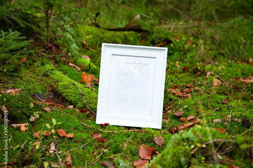 Mock up Blank white frame on moss green nature forest background artwork concept copy space photo