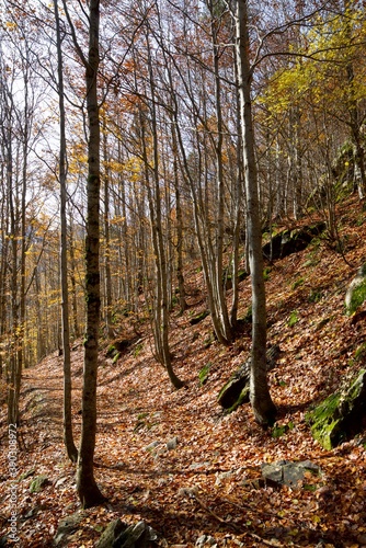 Autumn in the Pyrenees