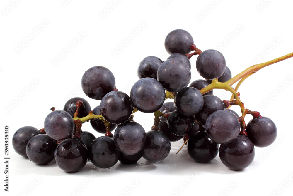 Black wine grape Black wine grape