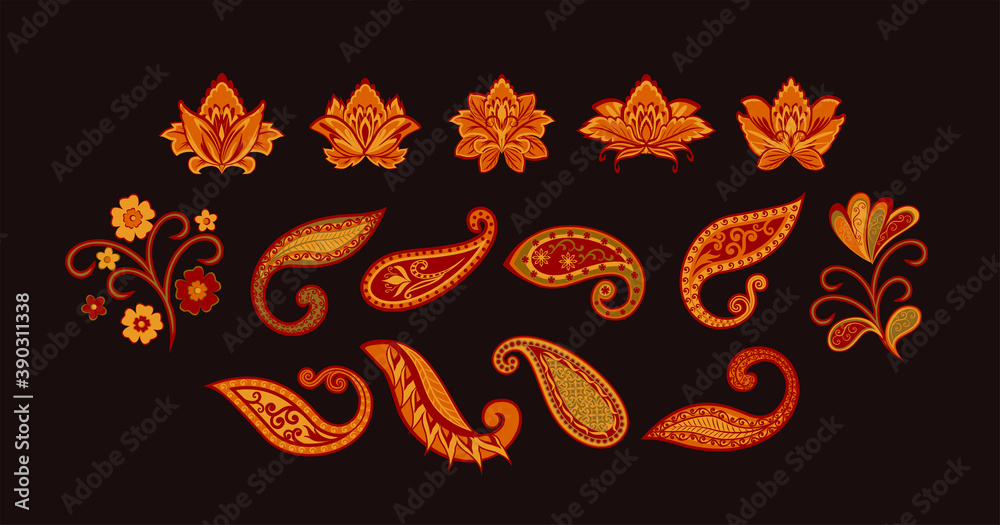 Naklejka premium Vector decorative design Paisley, floral elements.