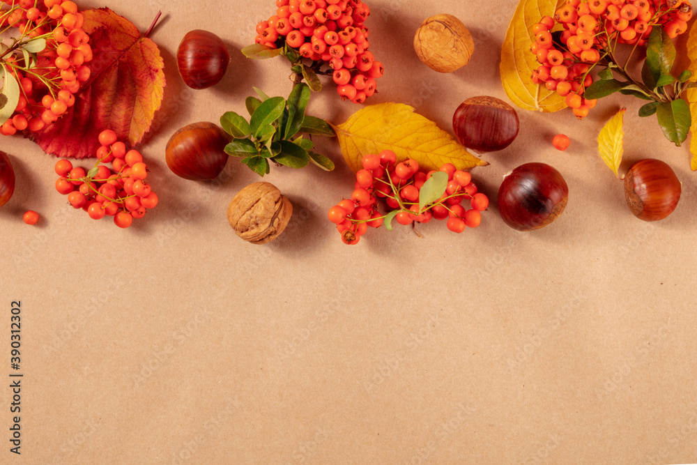 Autumn background with copy space. A design template with fall leaves, chesnuts, and berries, shot from above on a brown background