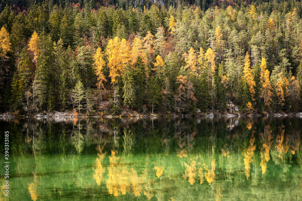 Obraz premium Lago di Tovel (Lake Tovel), Beautiful Alpine lake with forest in autumn, National Park of Adamello Brenta. Trentino Alto Adige, Trento province, Italy, Europe.