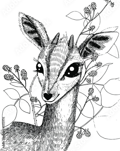 Vector doodle graphic illustration with animal. Cute baby deer and berry