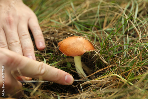 A man cuts a mushroom, close up
