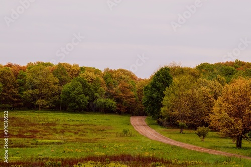 Road Not Taken