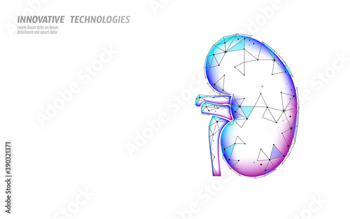 Healthy kidney internal organ 3d low poly geometric model. Urology system medicine disease treatment. Future science technology glowing arrows vector illustration