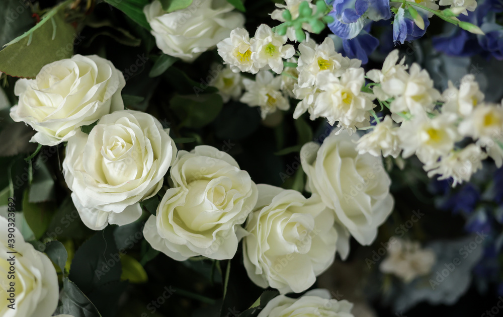 Closeup image of beautiful flowers wall background with amazing colorful roses. Top view Closeup image of beautiful flowers wall background with amazing colorful roses. Top view