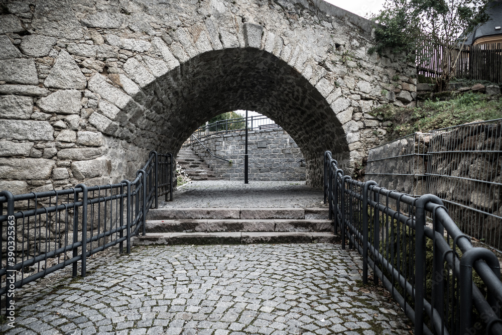 Obraz premium castle ruin in northern bohemia